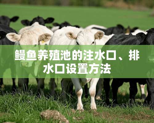 鳗鱼养殖池的注水口、排水口设置方法