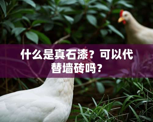 什么是真石漆？可以代替墙砖吗？