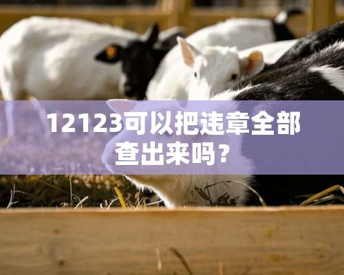 12123可以把违章全部查出来吗？