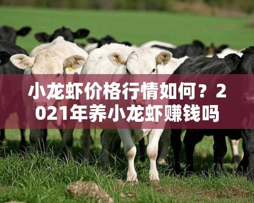 小龙虾价格行情如何？2021年养小龙虾赚钱吗？