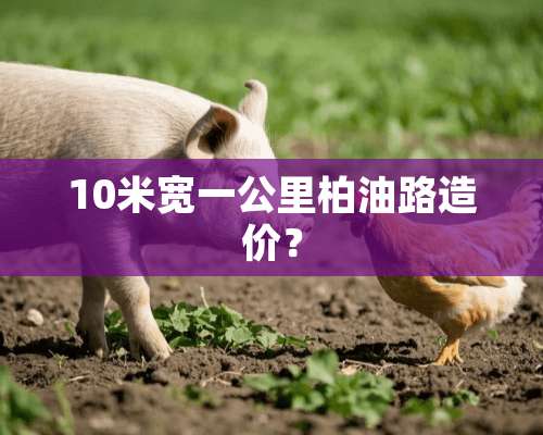 10米宽一公里柏油路造价？