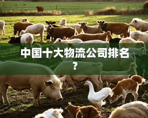 中国十大物流公司排名？