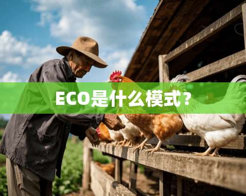 ECO是什么模式？