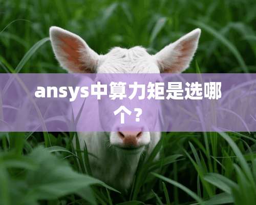 ansys中算力矩是选哪个？