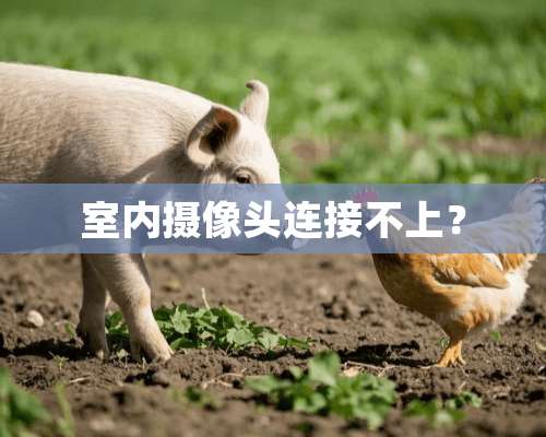 室内**头连接不上？