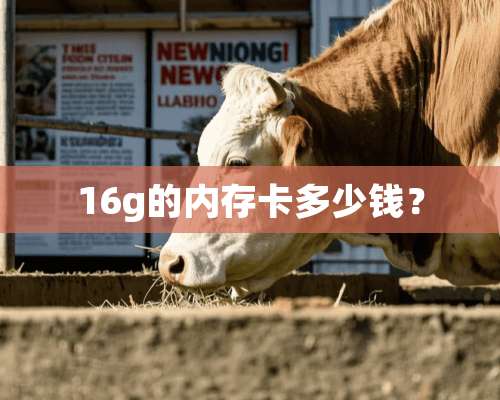 16g的内存卡多少钱？