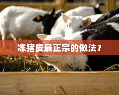 冻猪皮最正宗的做法？