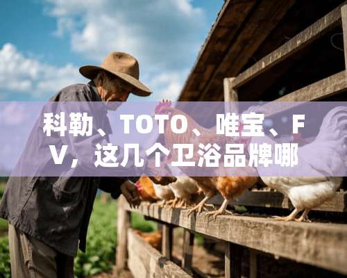 科勒、TOTO、唯宝、FV，这几个卫浴品牌哪家好？