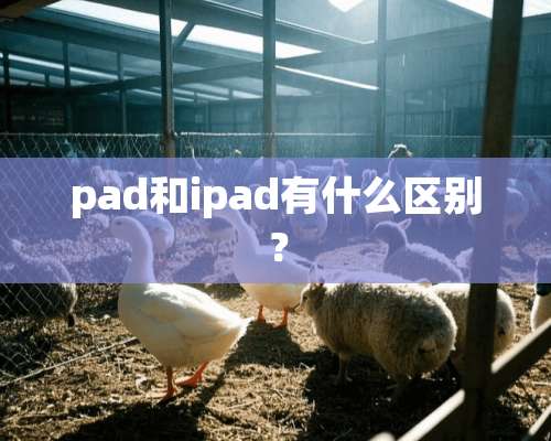 pad和ipad有什么区别？