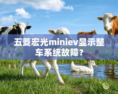 五菱宏光miniev显示整车系统故障？