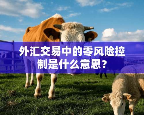 外汇交易中的零风险控制是什么意思？