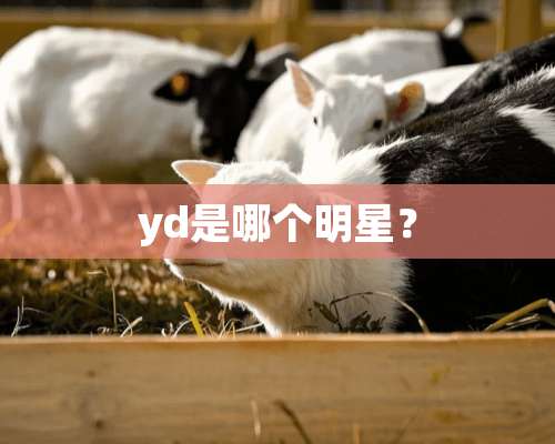 yd是哪个明星？