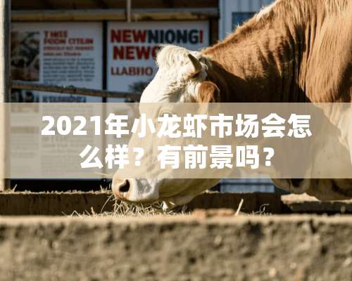 2021年小龙虾市场会怎么样？有前景吗？