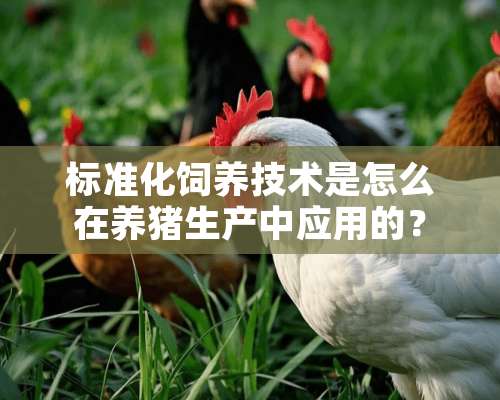 标准化饲养技术是怎么在养猪生产中应用的？