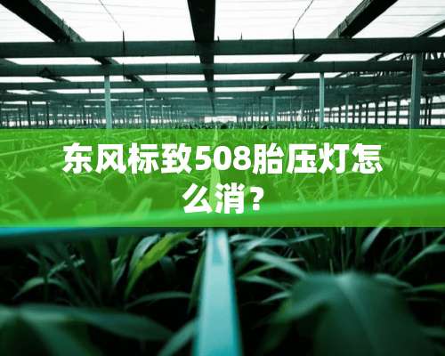 东风标致508胎压灯怎么消？