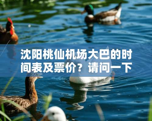 沈阳桃仙机场大巴的时间表及票价？请问一下？