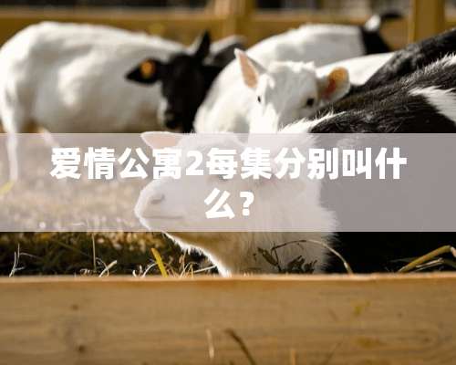 爱情公寓2每集分别叫什么？