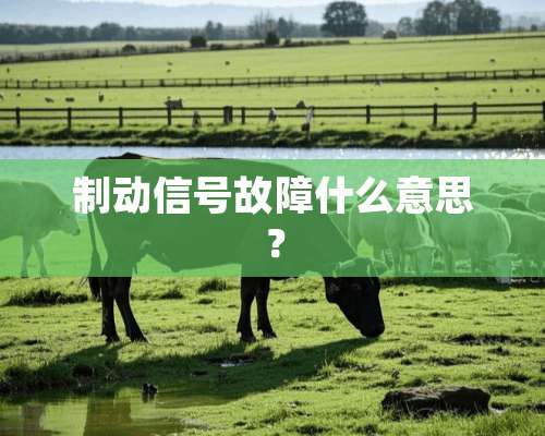 制动信号故障什么意思？