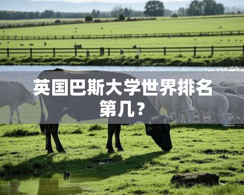 英国巴斯大学世界排名第几？