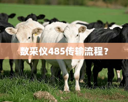 数采仪485传输流程？