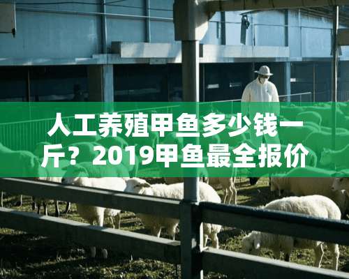 人工养殖甲鱼多少钱一斤？2019甲鱼最全报价表