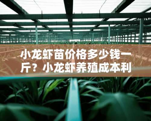 小龙虾苗价格多少钱一斤？小龙虾养殖成本利润分析