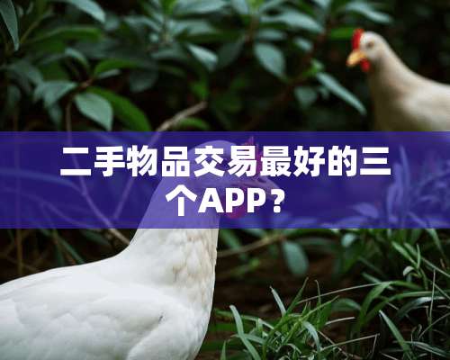 二手物品交易最好的三个APP？