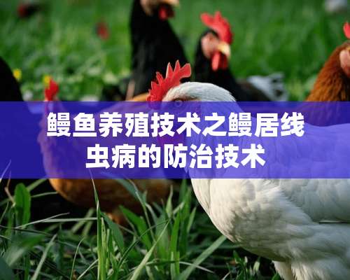 鳗鱼养殖技术之鳗居线虫病的防治技术