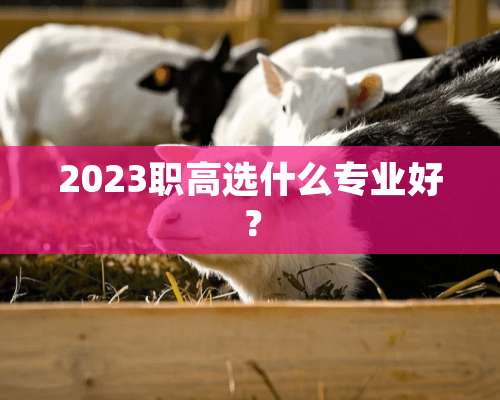 2023职高选什么专业好？