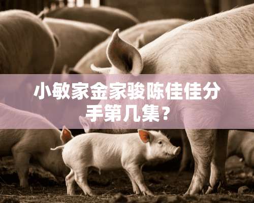 小敏家金家骏陈佳佳分手第几集？