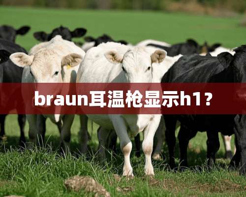 braun耳温*显示h1？