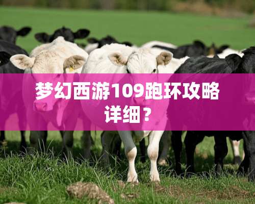 梦幻西游109跑环攻略详细？