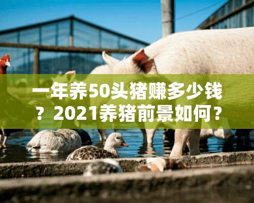 一年养50头猪赚多少钱？2021养猪前景如何？