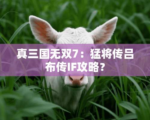 真三国无双7：猛将传吕布传IF攻略？