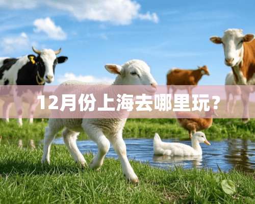 12月份上海去哪里玩？