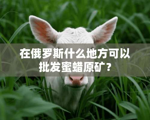 在俄罗斯什么地方可以批发蜜蜡原矿？