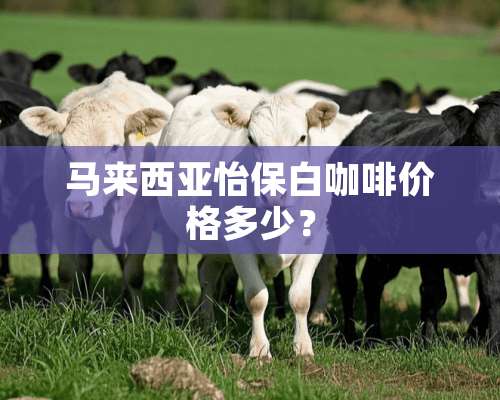 马来西亚怡保白咖啡价格多少？