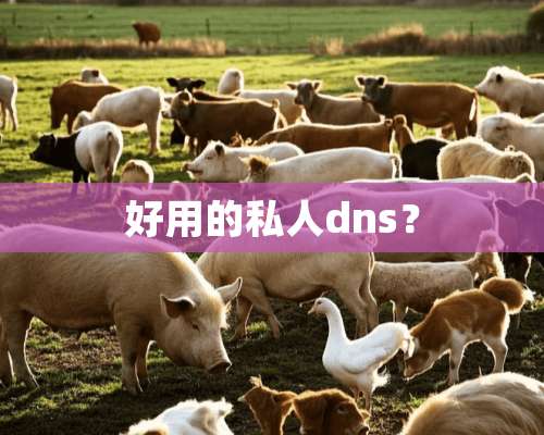 好用的私人dns？