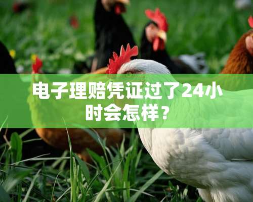 电子理赔凭证过了24小时会怎样？