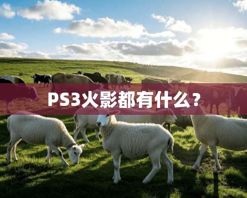 PS3火影都有什么？