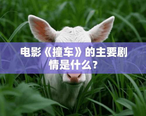 电影《撞车》的主要剧情是什么？