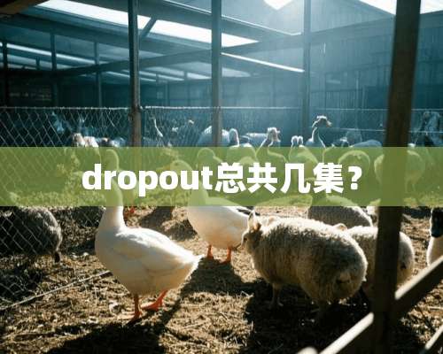 dropout总共几集？