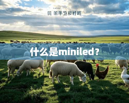 什么是miniled？