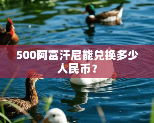 500阿富汗尼能兑换多少人民币？