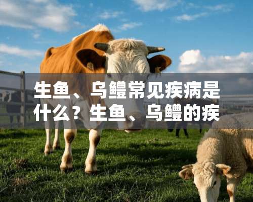 生鱼、乌鳢常见疾病是什么？生鱼、乌鳢的疾病的防治