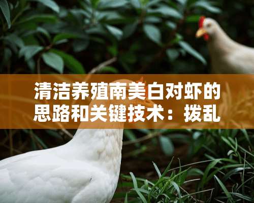 清洁养殖南美白对虾的思路和关键技术：拨乱反正