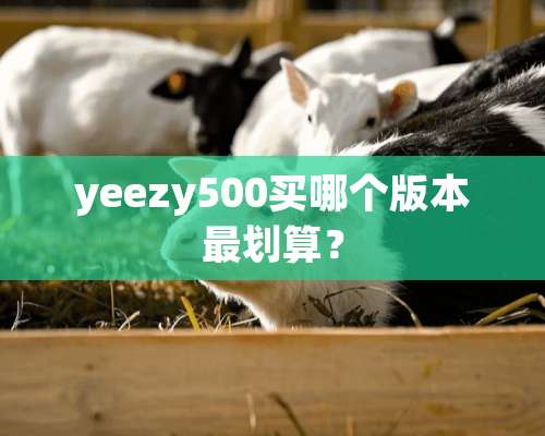 yeezy500买哪个版本最划算？