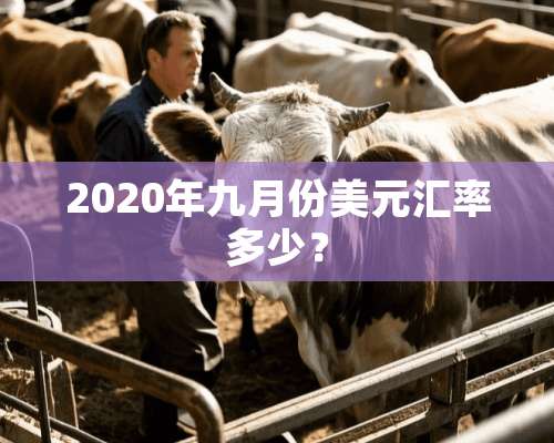 2020年九月份美元汇率多少？