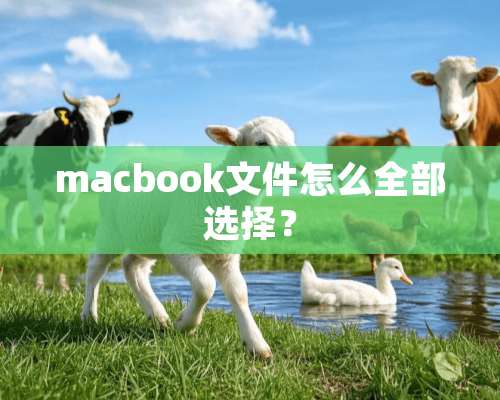 macbook文件怎么全部选择？