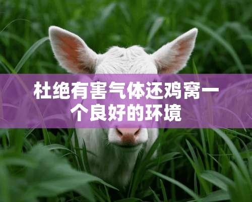 杜绝有害气体还鸡窝一个良好的环境